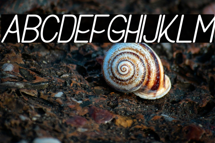 Buon Umore Bold Italic Example 2