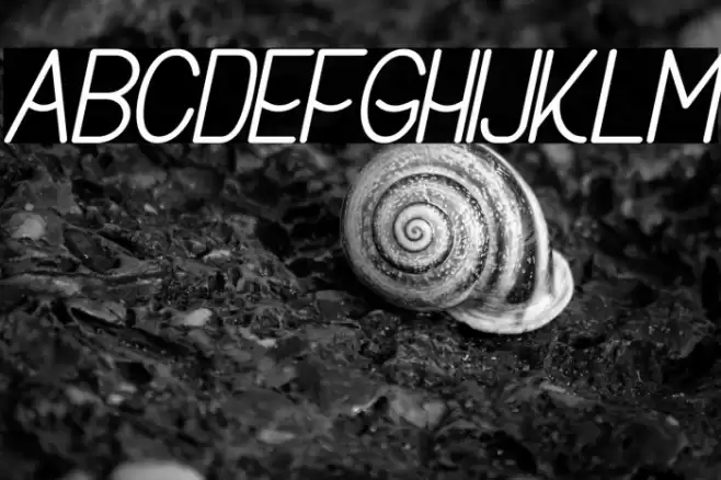 Buon Umore Bold Italic Font examples