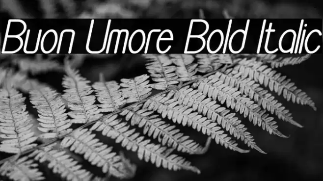 Buon Umore Bold Italic Font examples