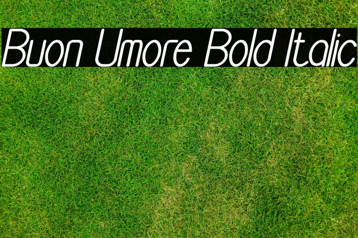 Buon Umore Bold Italic Example 2