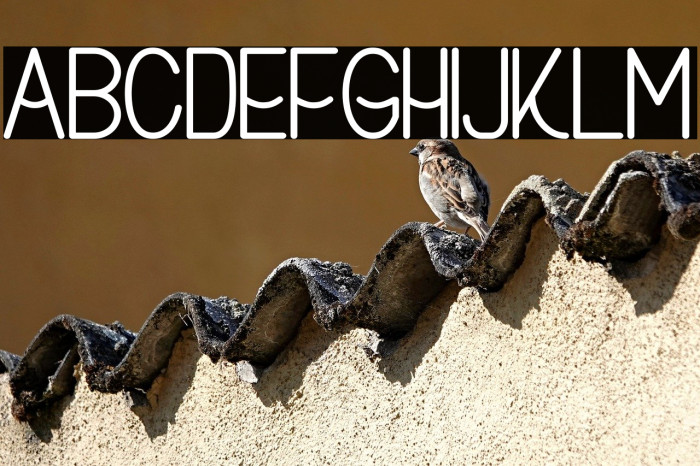 Buon Umore Bold Example 1