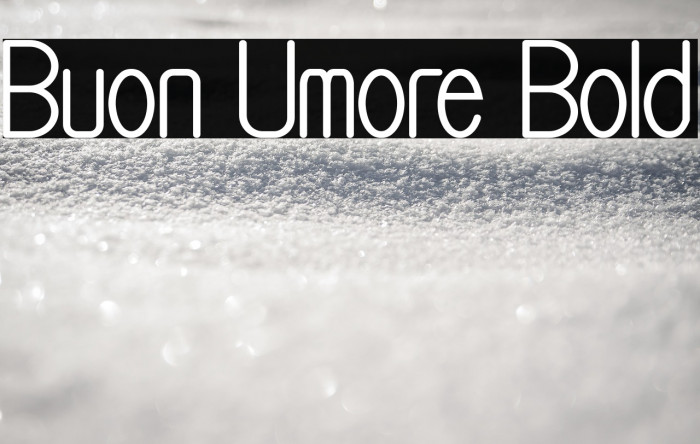 Buon Umore Bold Example 2