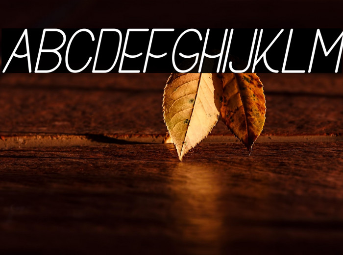 Buon Umore Italic Example 2