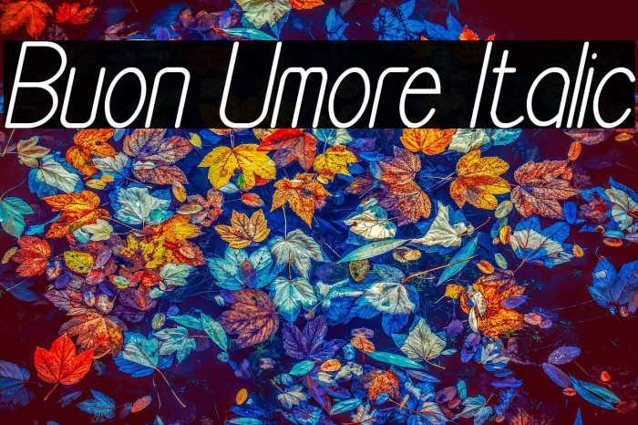 Buon Umore Italic Example 1