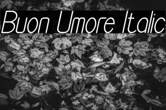 Buon Umore Italic Font examples