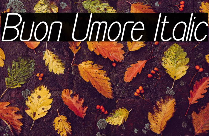 Buon Umore Italic Example 2