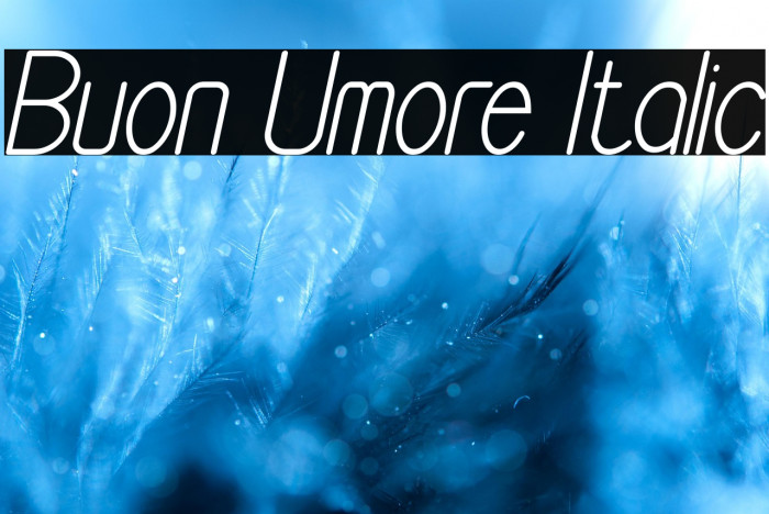 Buon Umore Italic Example 3