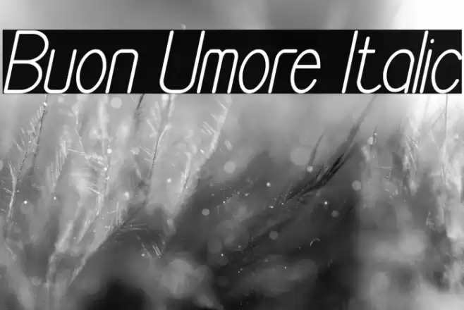 Buon Umore Italic Font examples