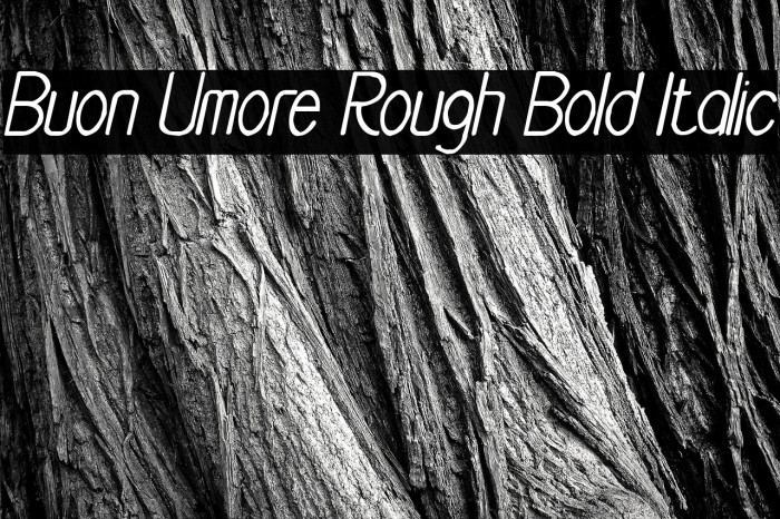 Buon Umore Rough Bold Italic Example 1