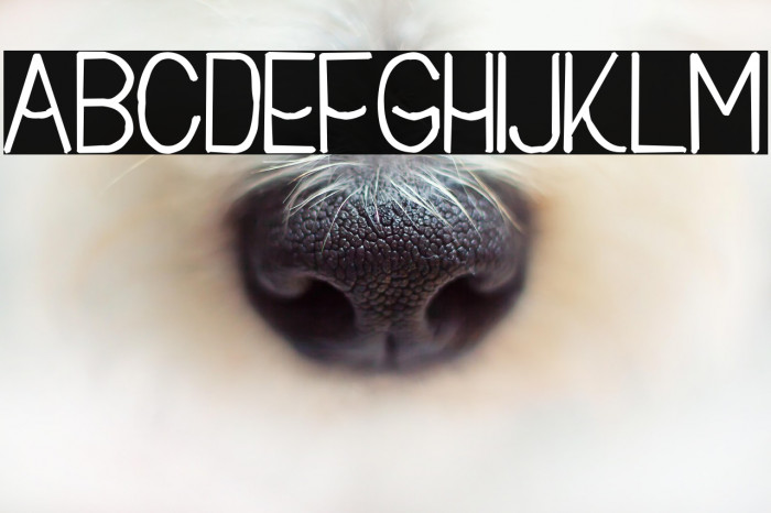 Buon Umore Rough Bold Example 1