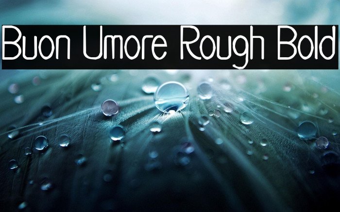 Buon Umore Rough Bold Example 1
