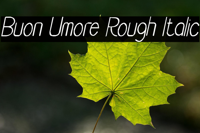 Buon Umore Rough Italic Example 1