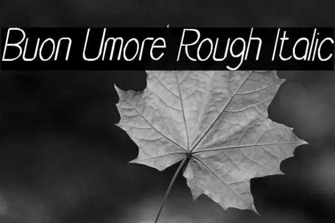 Buon Umore Rough Italic Example 1