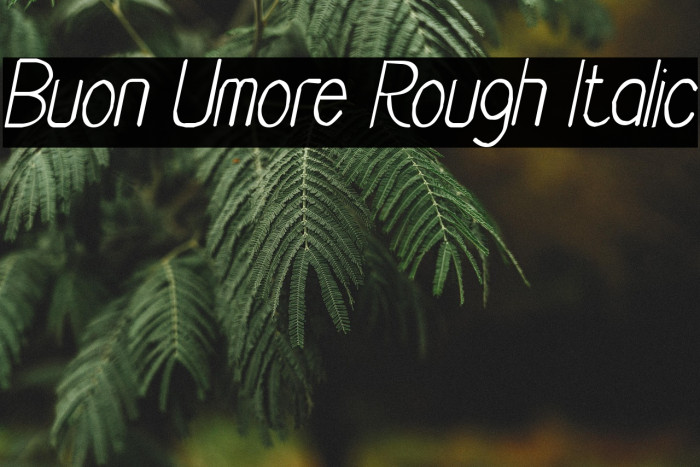 Buon Umore Rough Italic Example 3