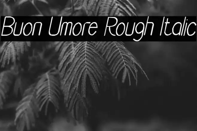 Buon Umore Rough Italic Example 3