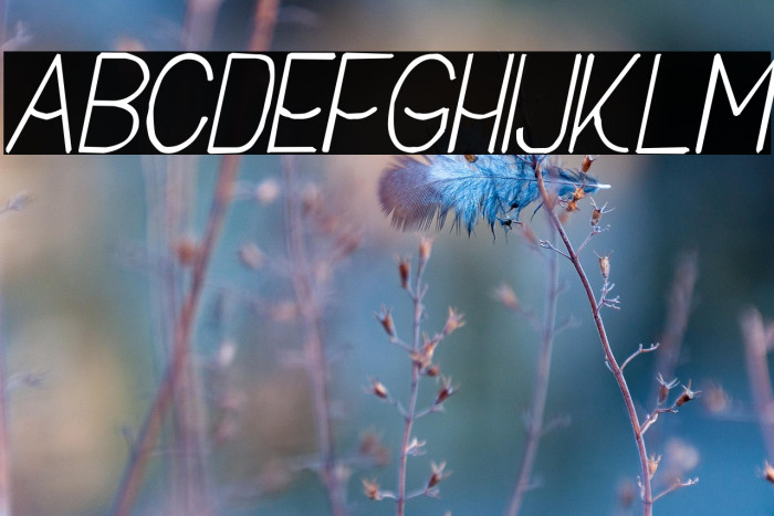 Buon Umore Rough Italic Example 2