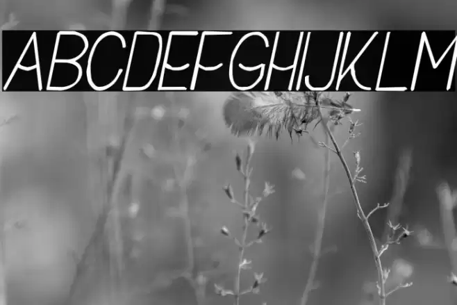 Buon Umore Rough Italic Font examples