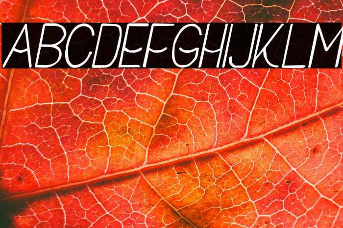 Buon Umore Rough Italic Example 3