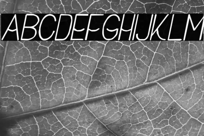 Buon Umore Rough Italic Font examples