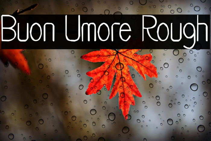 Buon Umore Rough Example 1