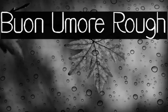 Buon Umore Rough Font examples