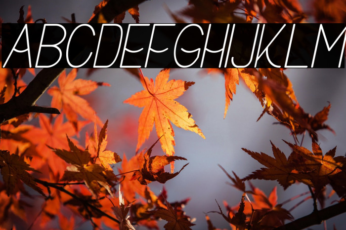 Buon Umore Thin Italic Example 1