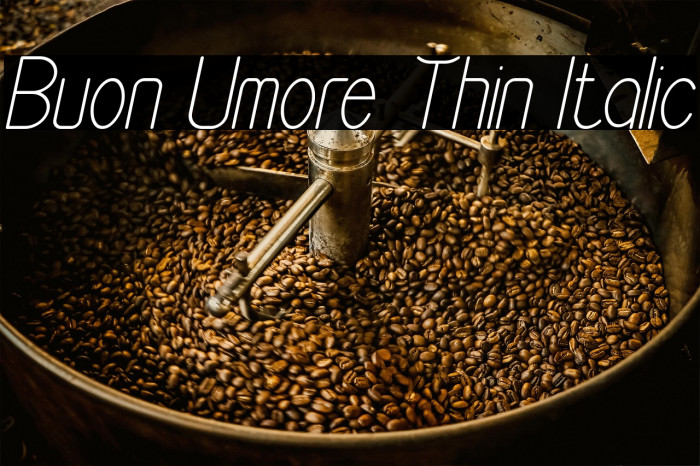 Buon Umore Thin Italic Example 2