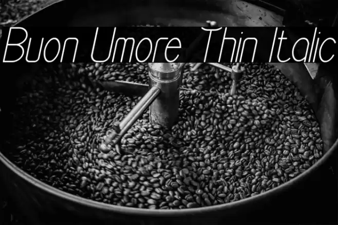 Buon Umore Thin Italic Font examples
