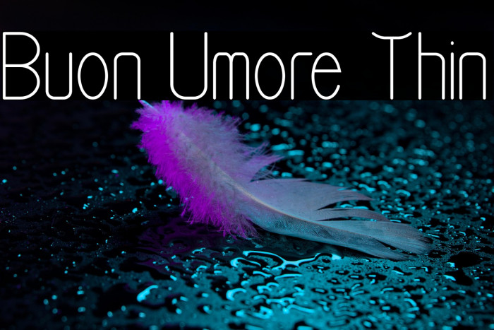 Buon Umore Thin Example 1