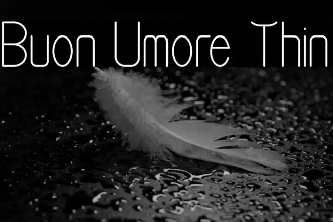 Buon Umore Thin Example 1