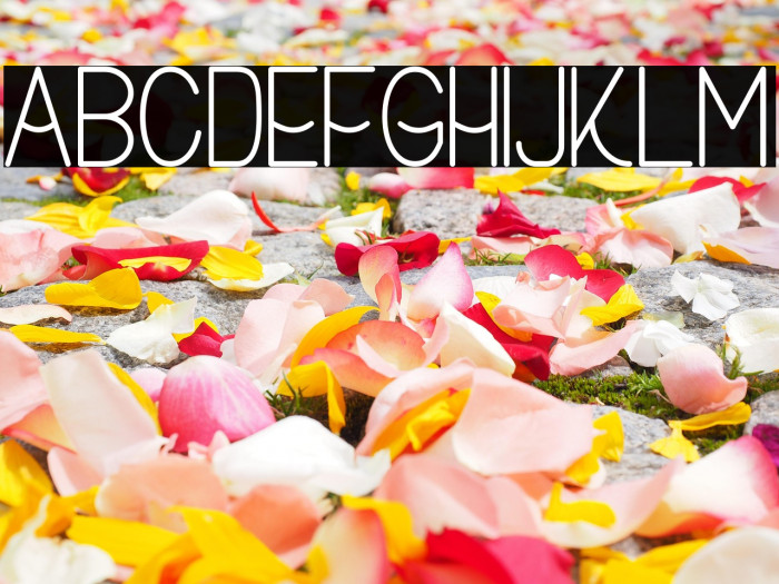 Buon Umore Example 3