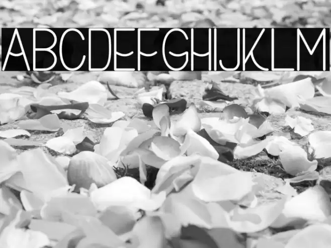 Buon Umore Font examples