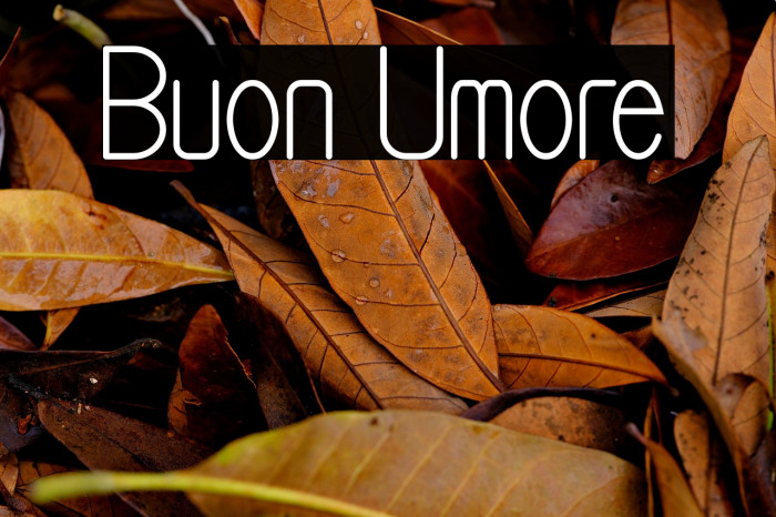 Buon Umore Example 1