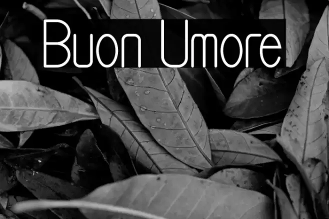 Buon Umore Font examples
