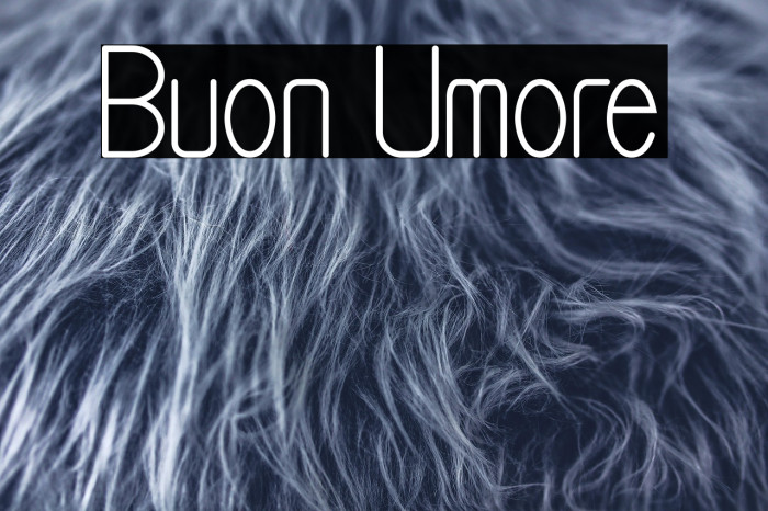 Buon Umore Example 3