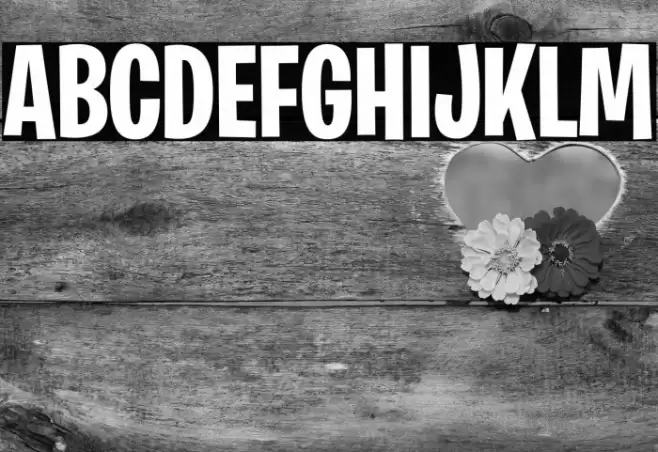 BurbankBigCondensed-Bold Font examples