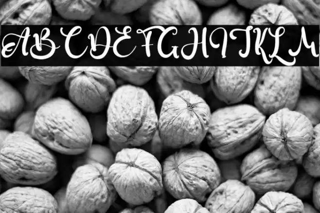 Burcaster Font examples