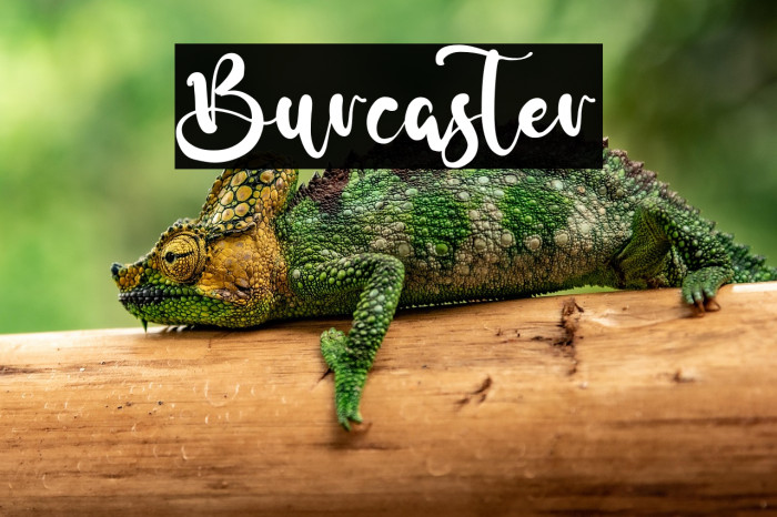 Burcaster Example 2