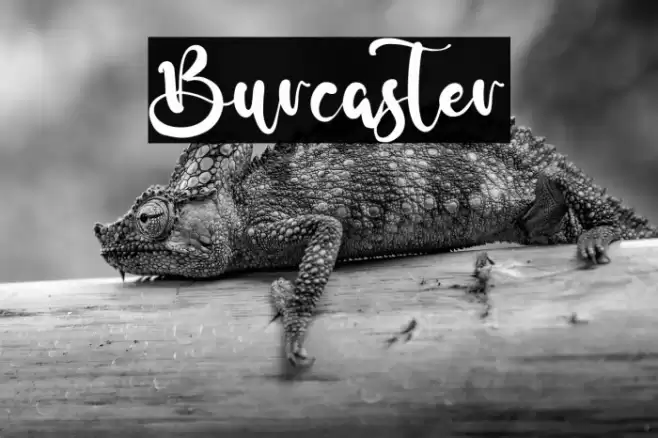 Burcaster Font examples