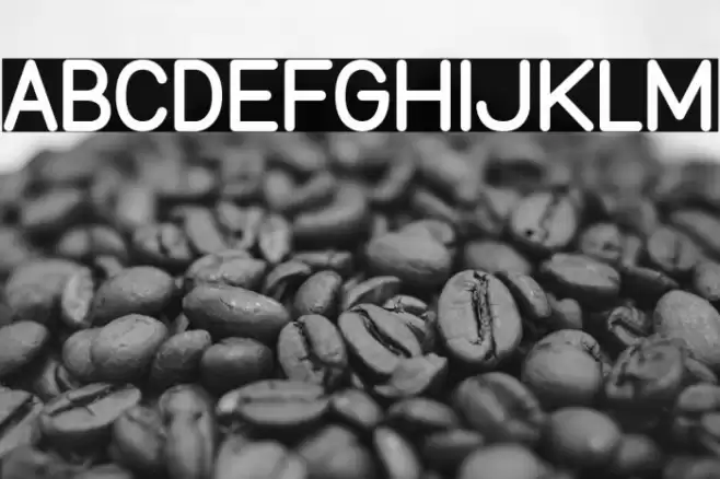 Burd Sans ExtraBold Font examples