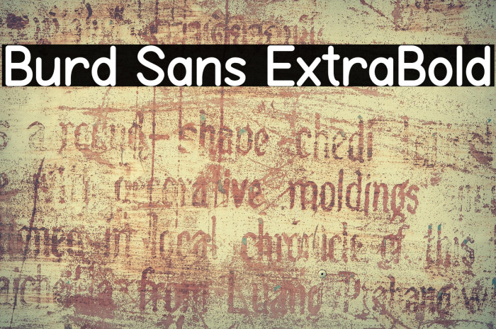 Burd Sans ExtraBold Example 1