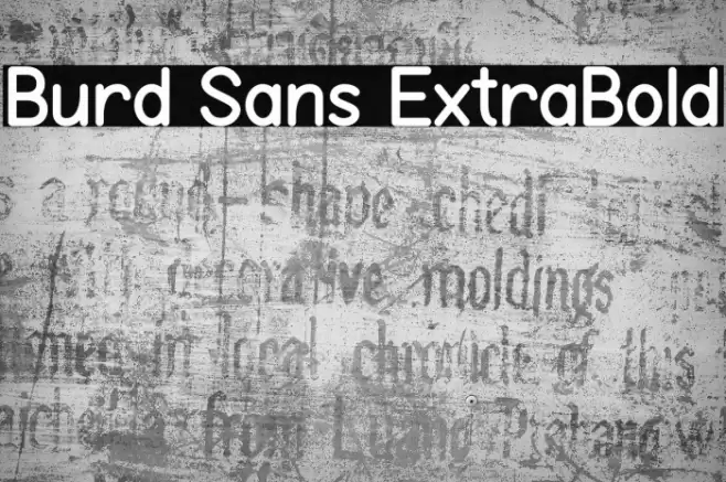 Burd Sans ExtraBold Font examples