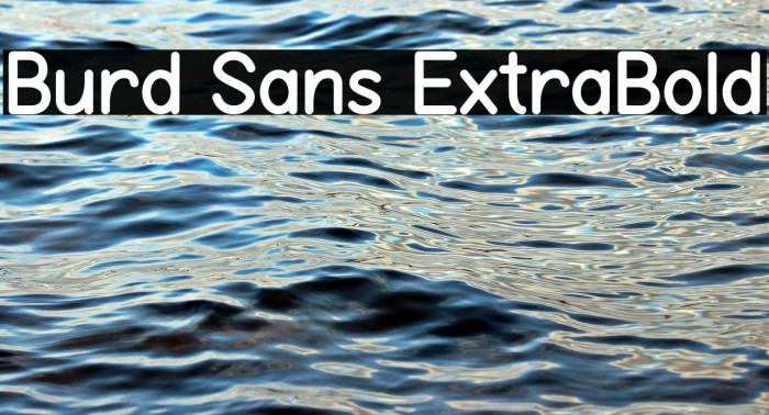 Burd Sans ExtraBold Example 2