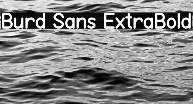 Burd Sans ExtraBold Font examples