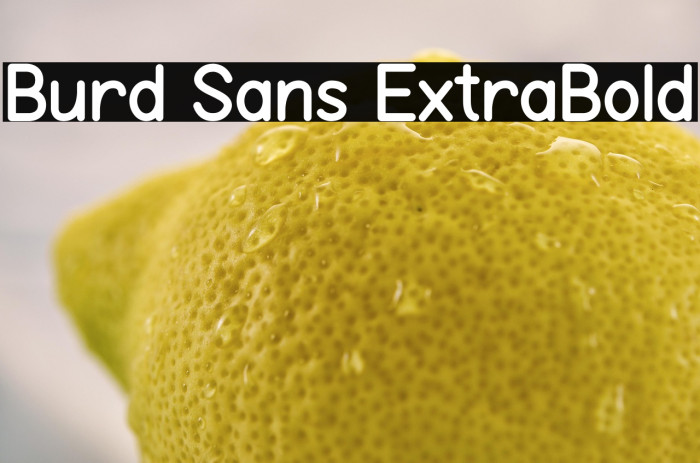 Burd Sans ExtraBold Example 3