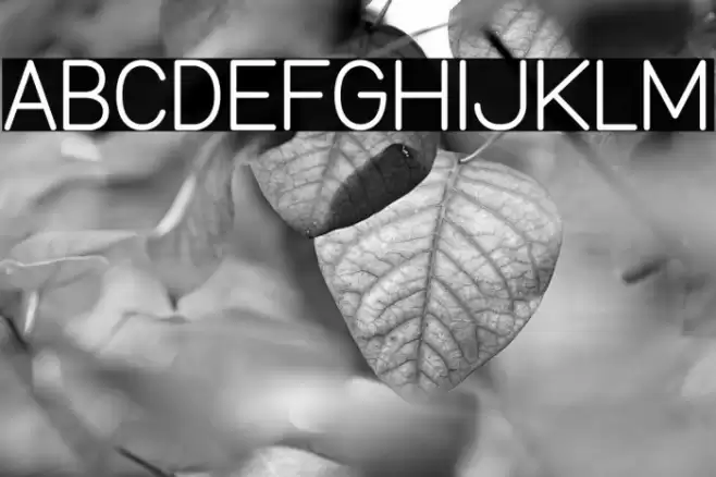 Burd Sans Font examples