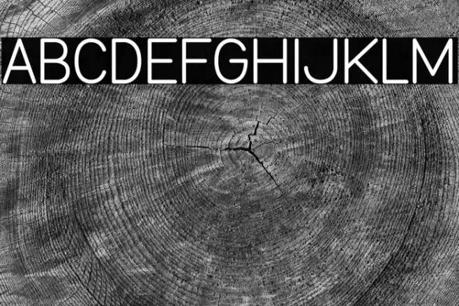 Burd Sans Font examples