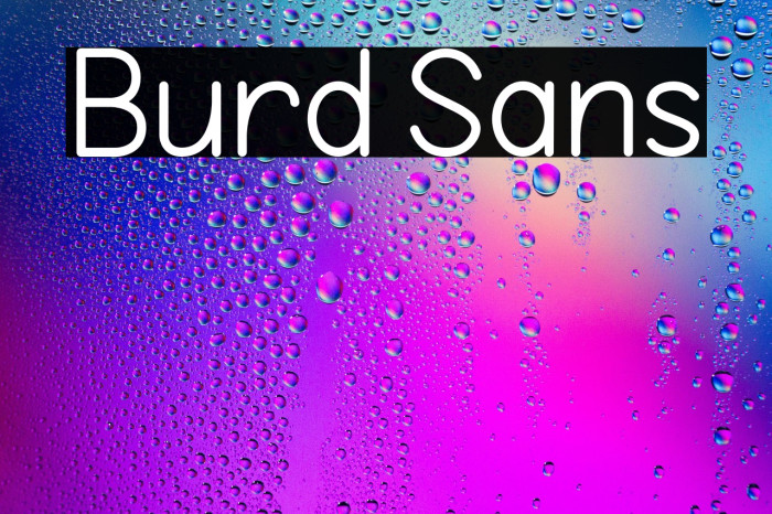 Burd Sans Example 1