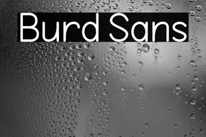 Burd Sans Font examples