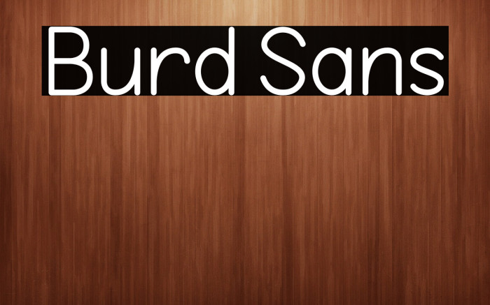 Burd Sans Example 3